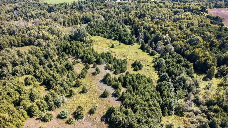 8155 19th Side Road