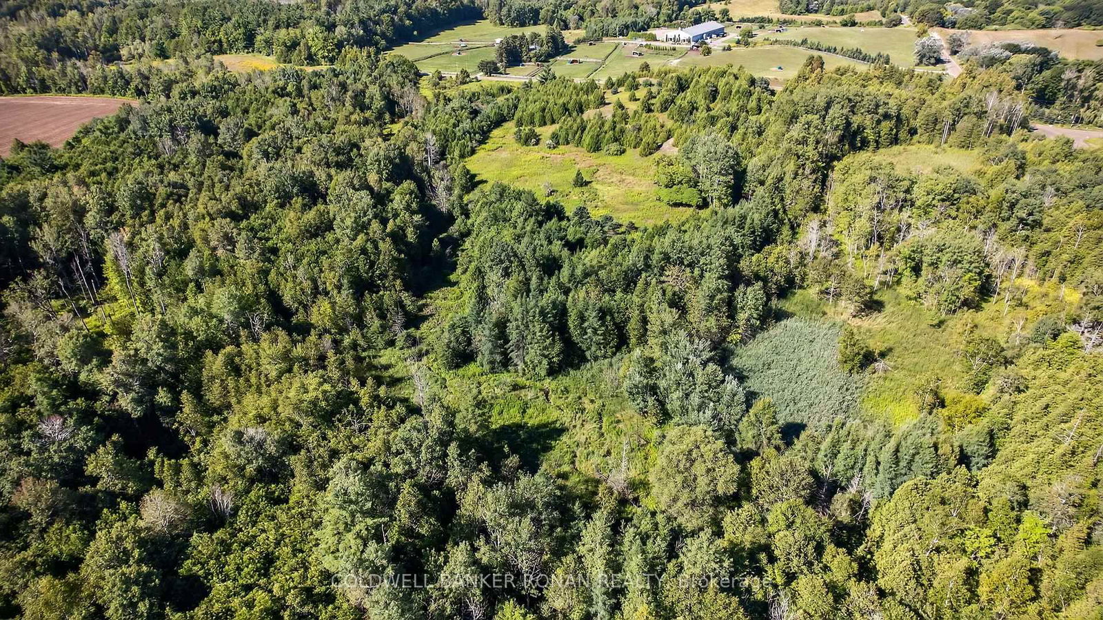 8155 19th Side Road • King, ON photo 4