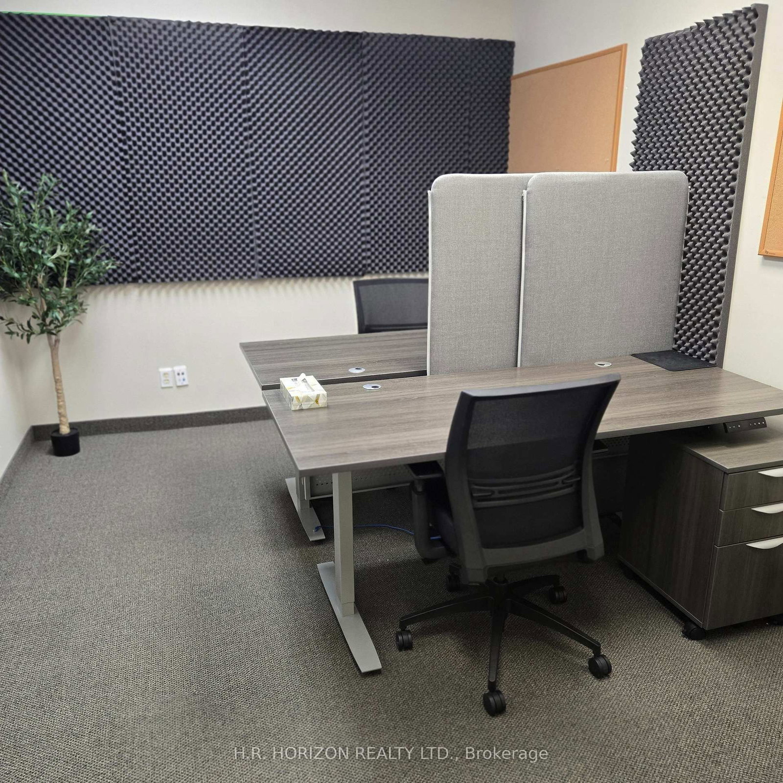 155 Edward Street, Unit Unit 3 - Photo 13