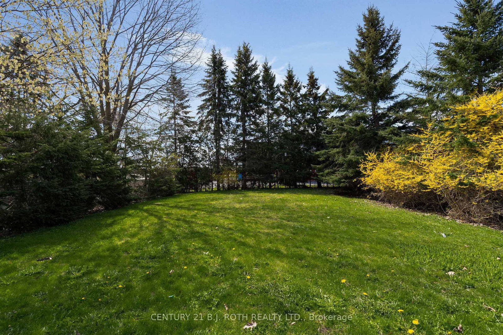 2165 Victoria Street - Photo 31