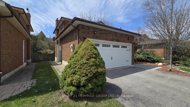 Bsmt - 9 Addison Street