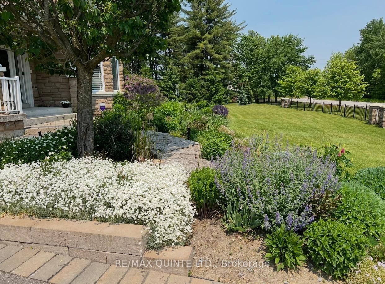 2 Treeview Avenue • Whitchurch-Stouffville, ON photo 32