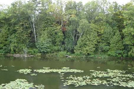 0 Morning Glory Rd E, Georgina, L0E1N0 | Image 2