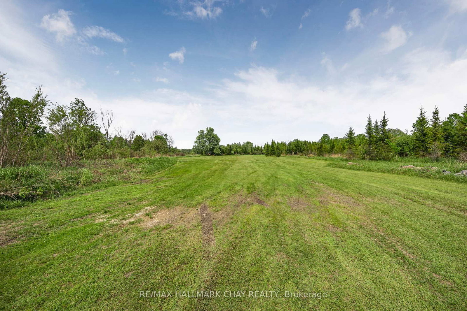 9205 McKinnon Road • Essa, ON photo 5