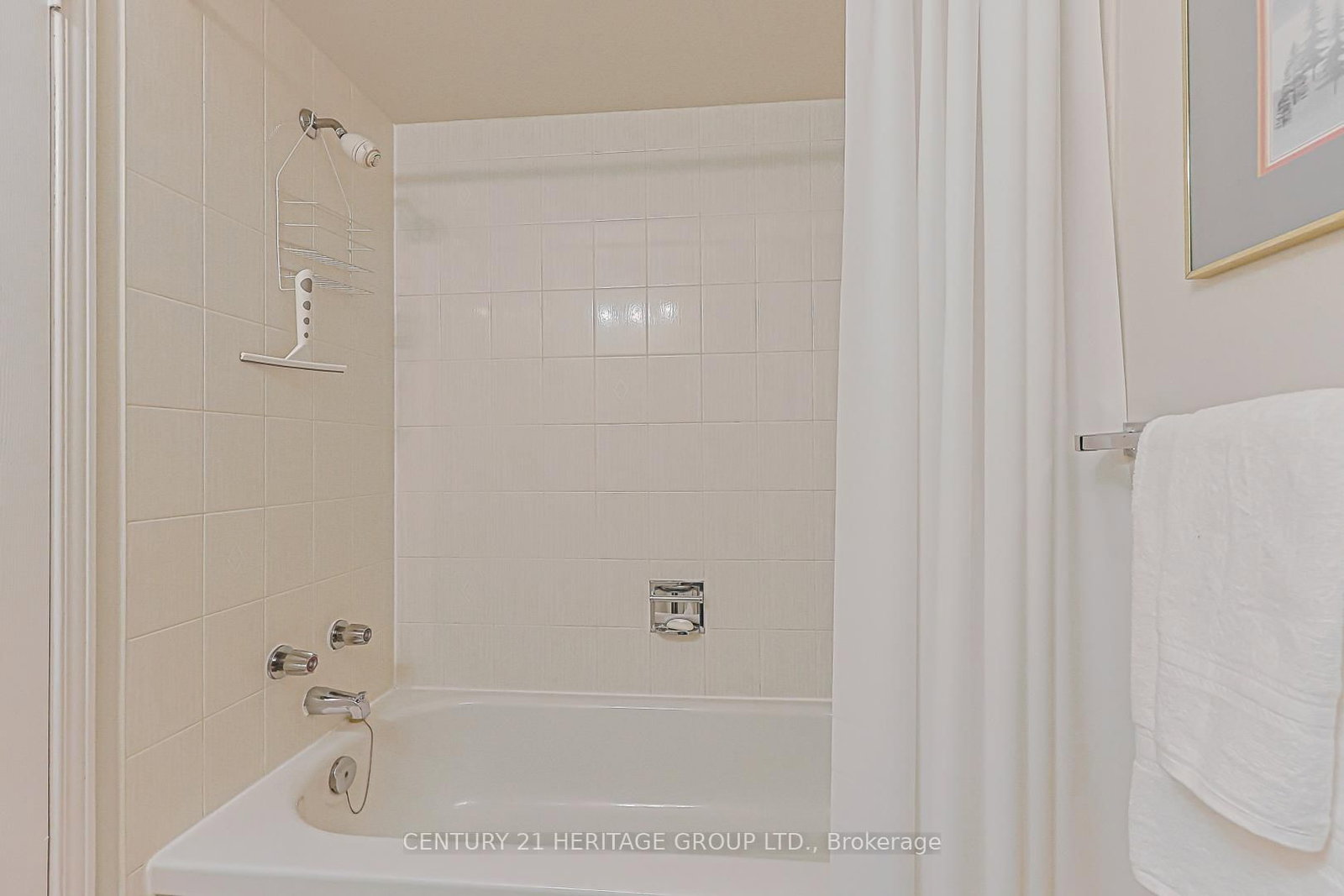 707 Caradonna Crescent • Newmarket, ON photo 37