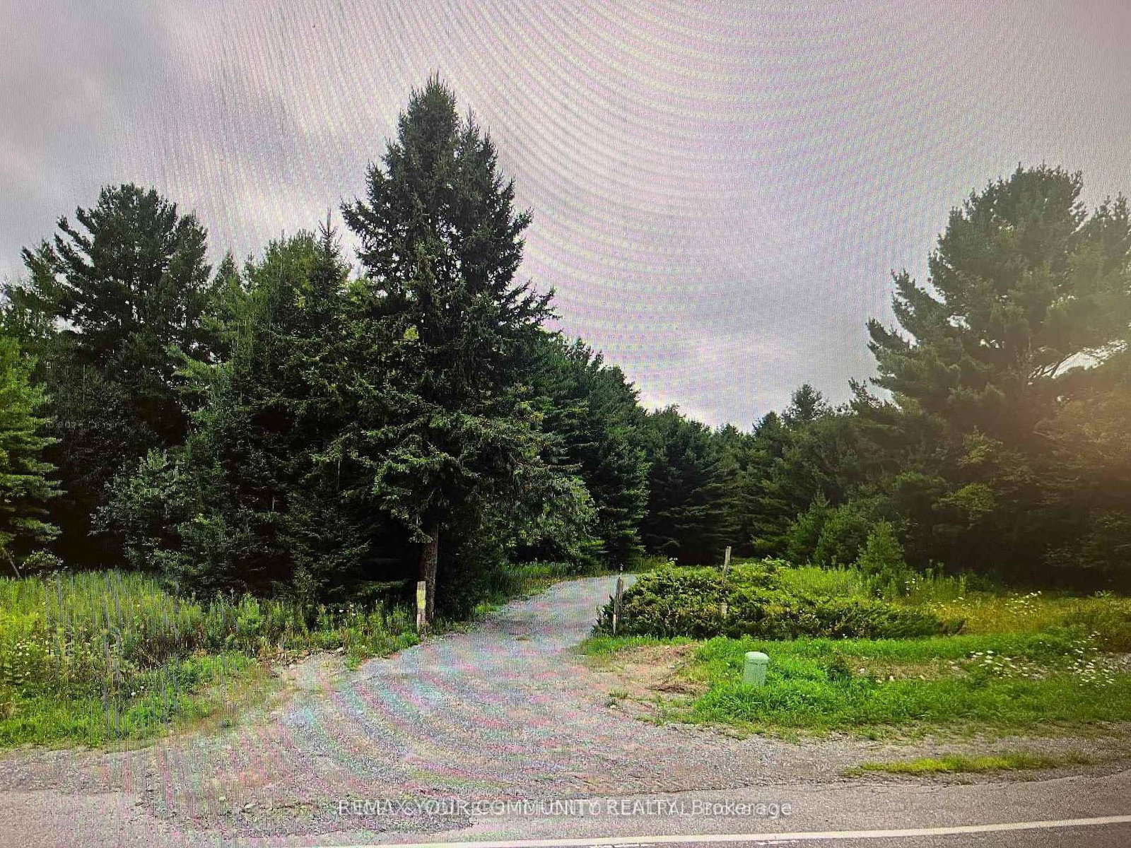 574 Zephyr Rd • Uxbridge, ON photo 3