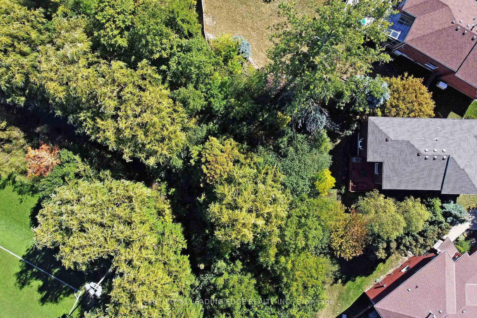 34 Pandora Court • Richmond Hill, ON photo 44