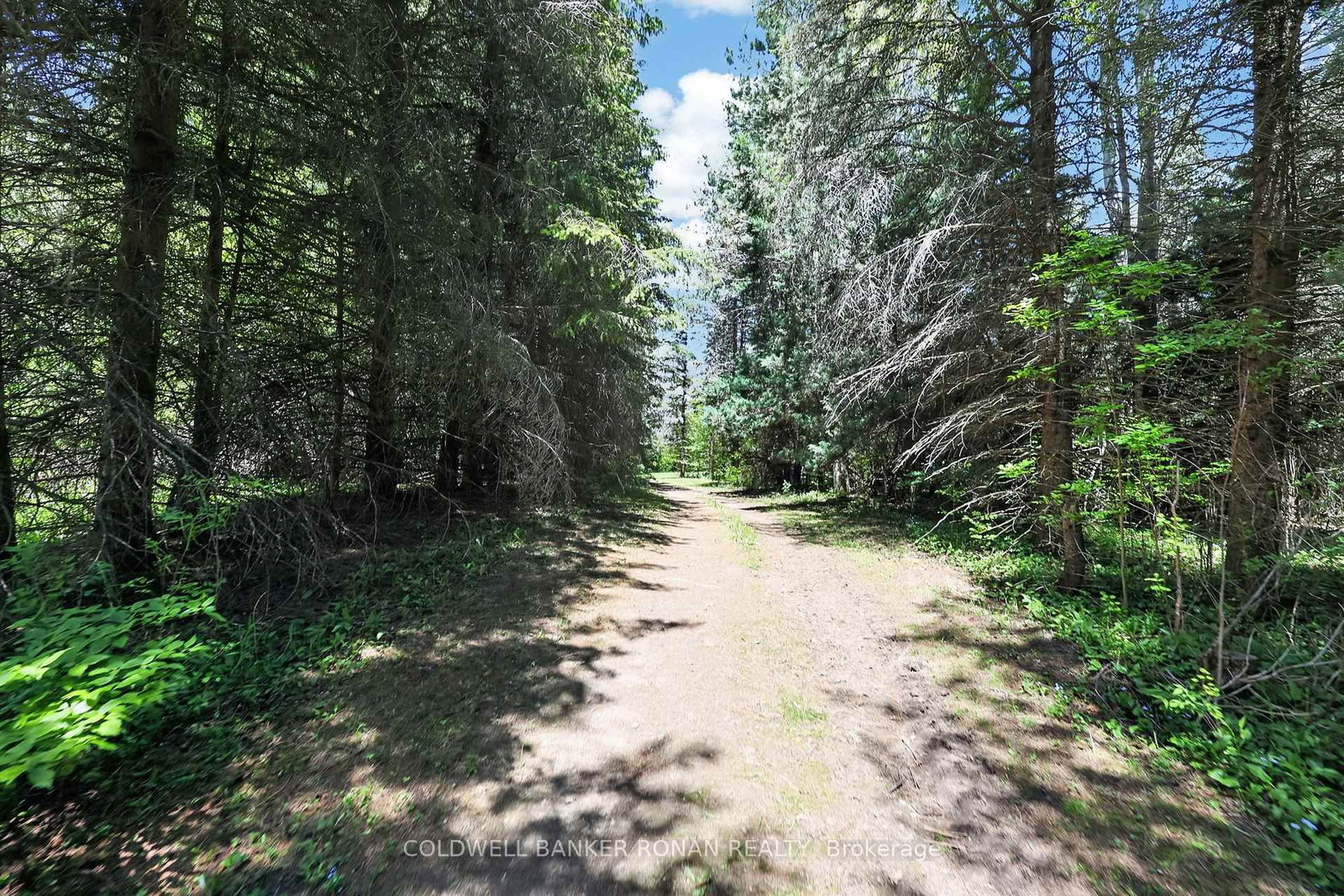 5565 5th Line • New Tecumseth, ON photo 45