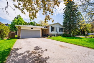 77 Dorman Drive