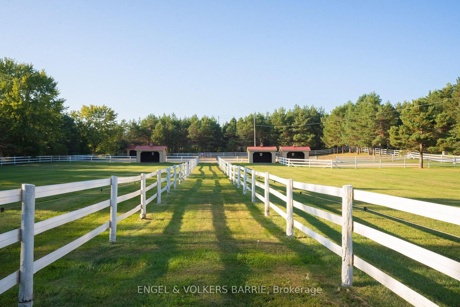 419 Goodwood Rd Road • Uxbridge, ON photo 28