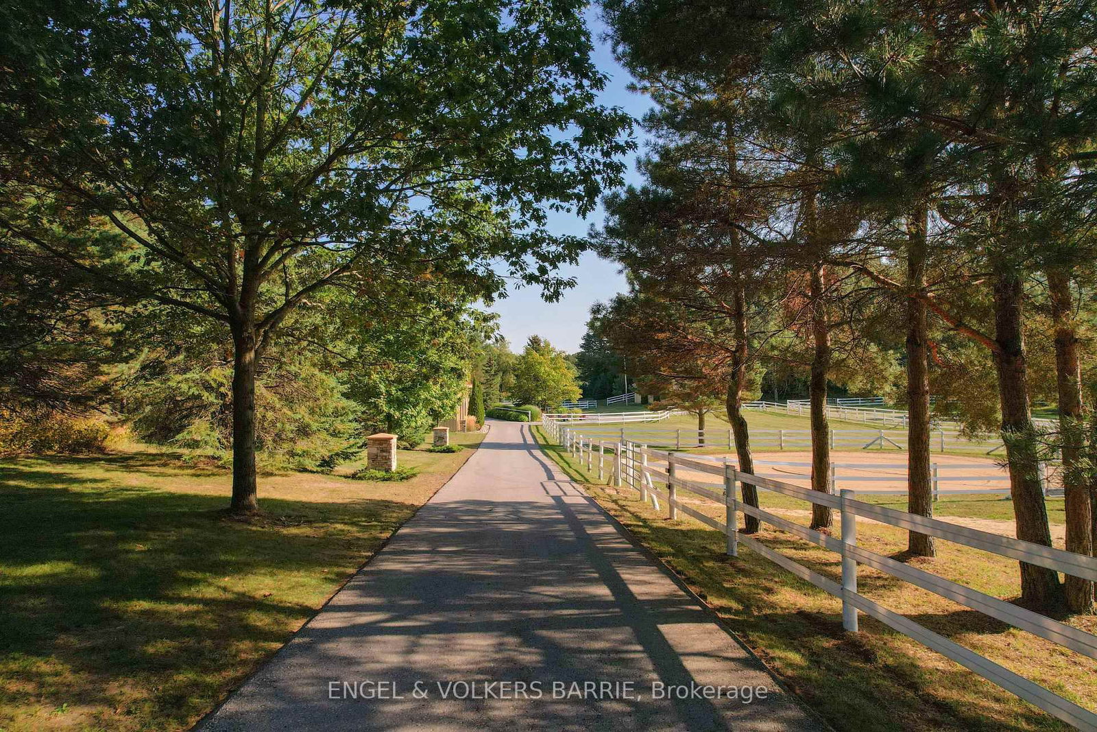 419 Goodwood Rd Road • Uxbridge, ON photo 3