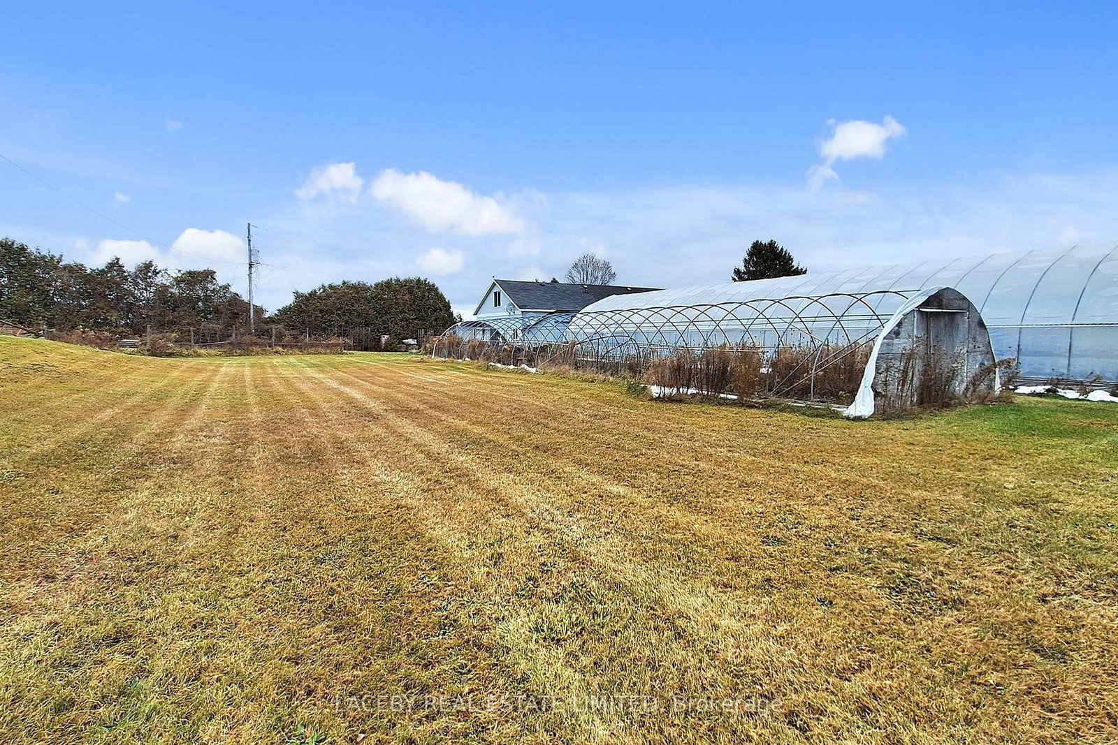 19654 Mccowan Road • East Gwillimbury, ON photo 24