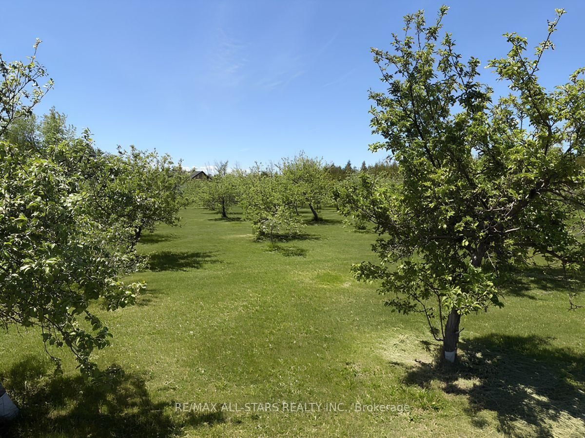 25472 Lakeridge Road • Georgina, ON photo 11