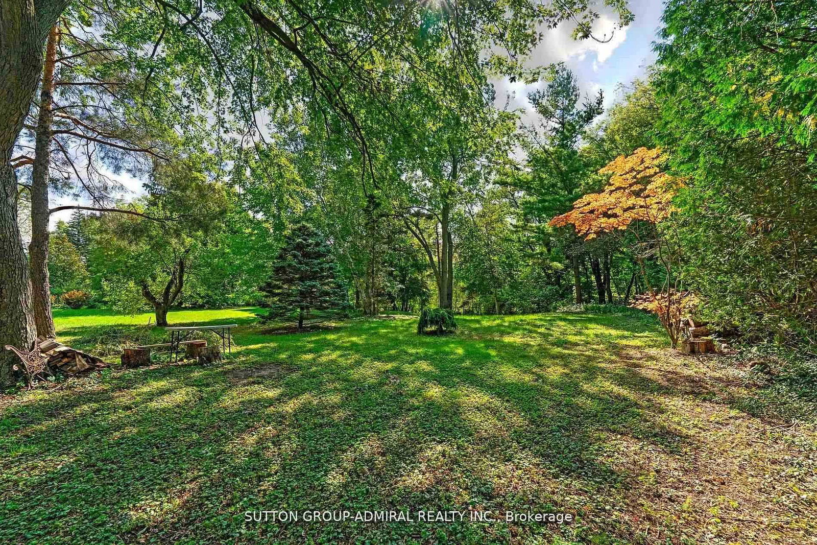 126 WOOD Lane • Richmond Hill, ON photo 39
