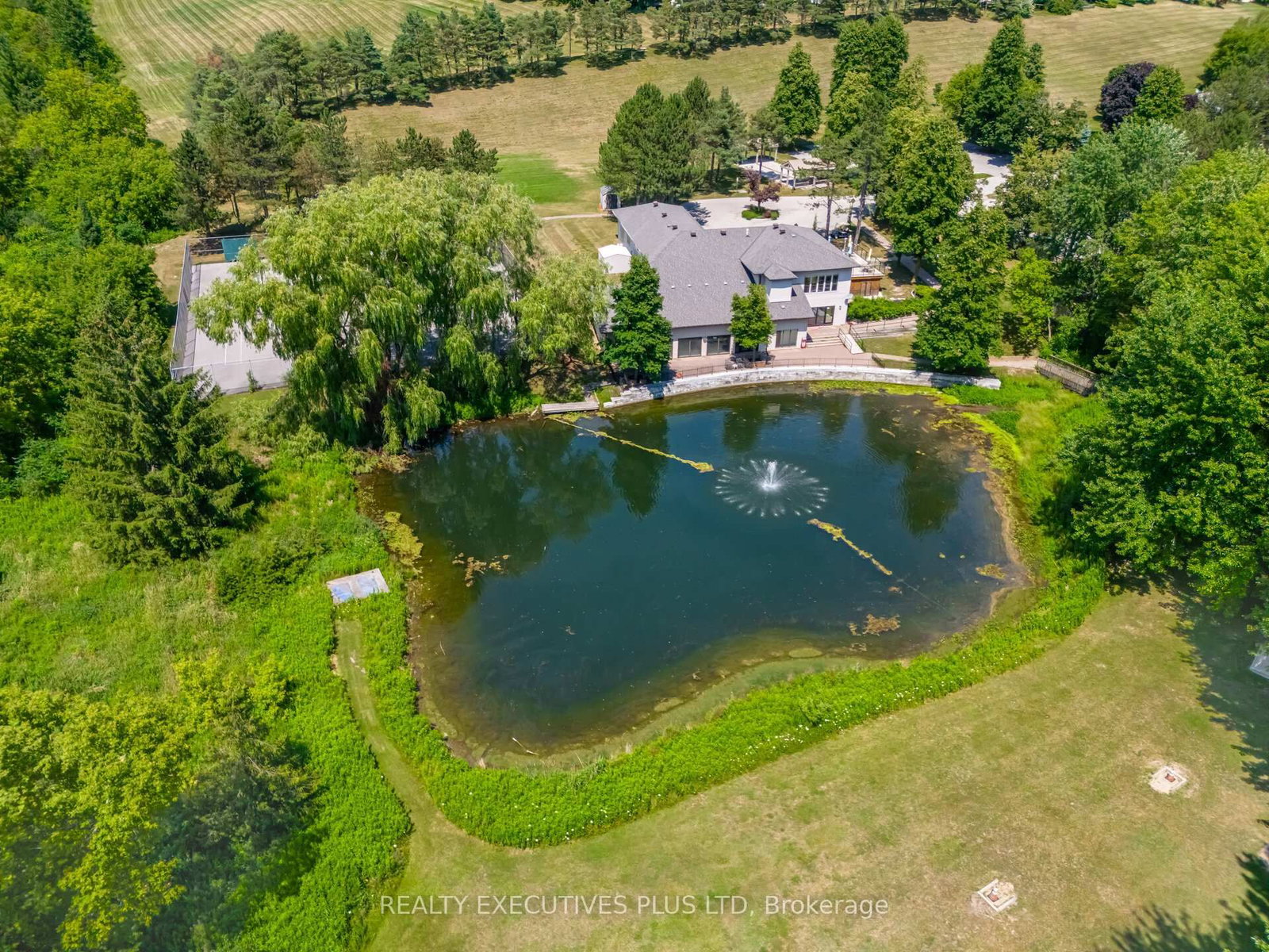 3 Pineview Court • New Tecumseth, ON photo 35
