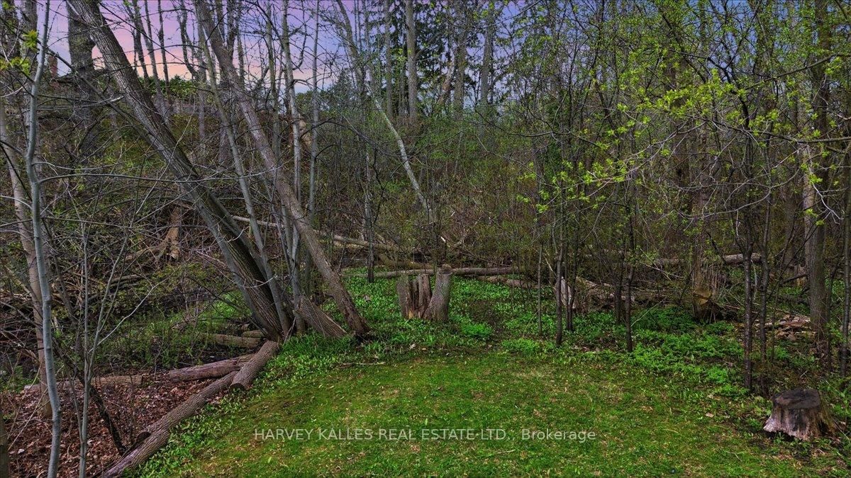 72 Walmer Road • Richmond Hill, ON photo 49