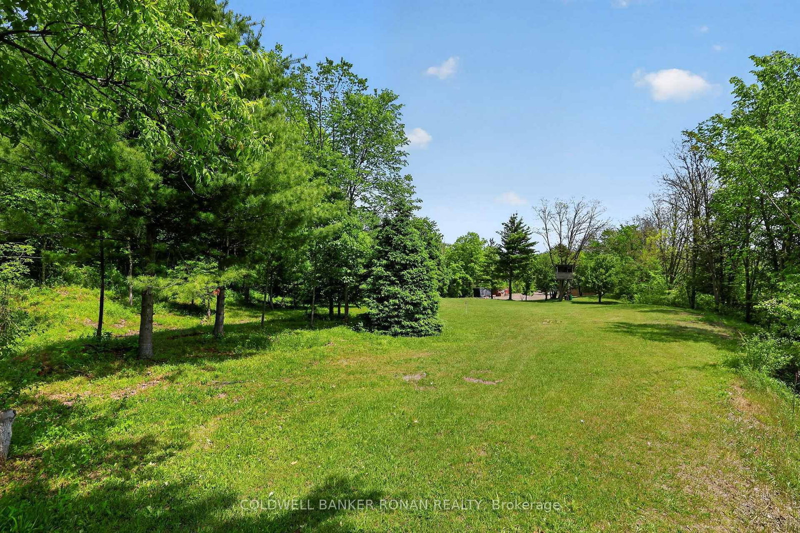 2946 Concession Rd 3 • Adjala-Tosorontio, ON photo 36