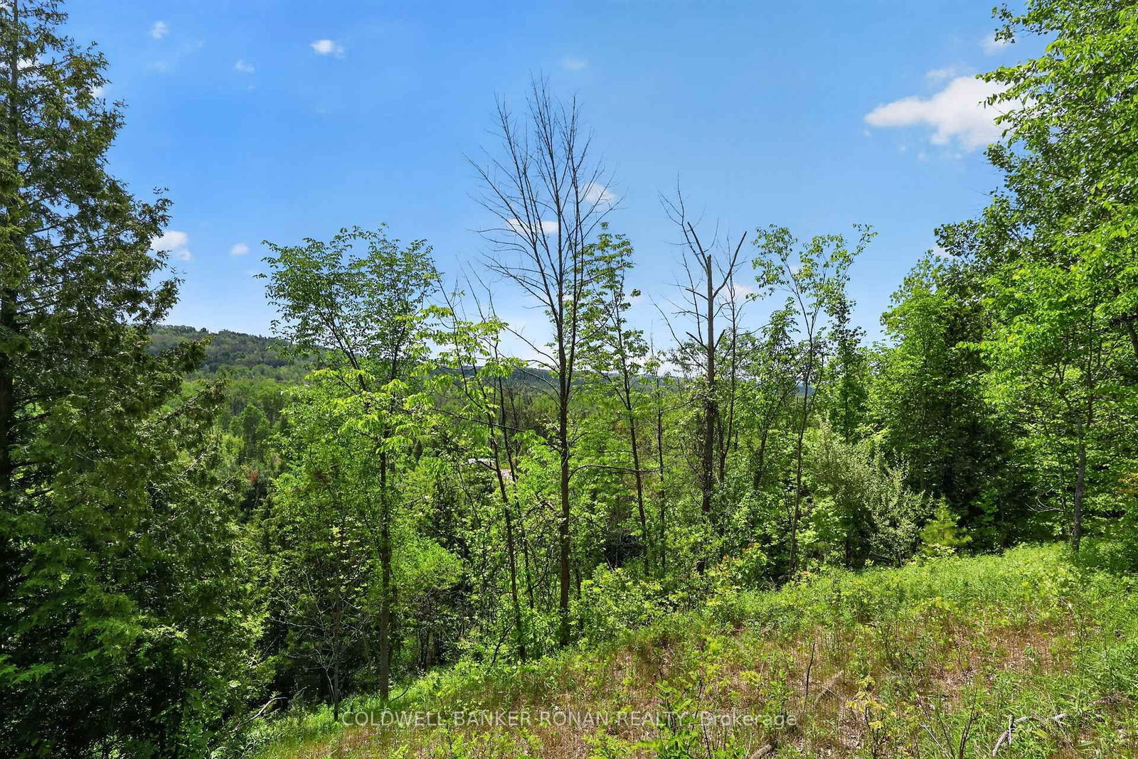 2946 Concession Rd 3 • Adjala-Tosorontio, ON photo 37