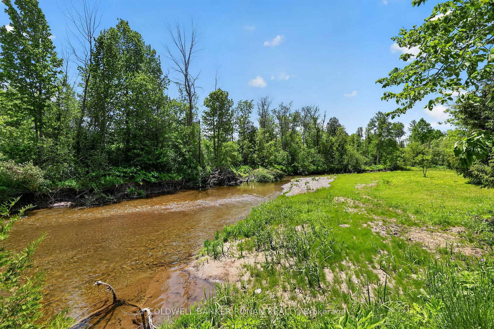 2946 Concession Rd 3 • Adjala-Tosorontio, ON photo 38