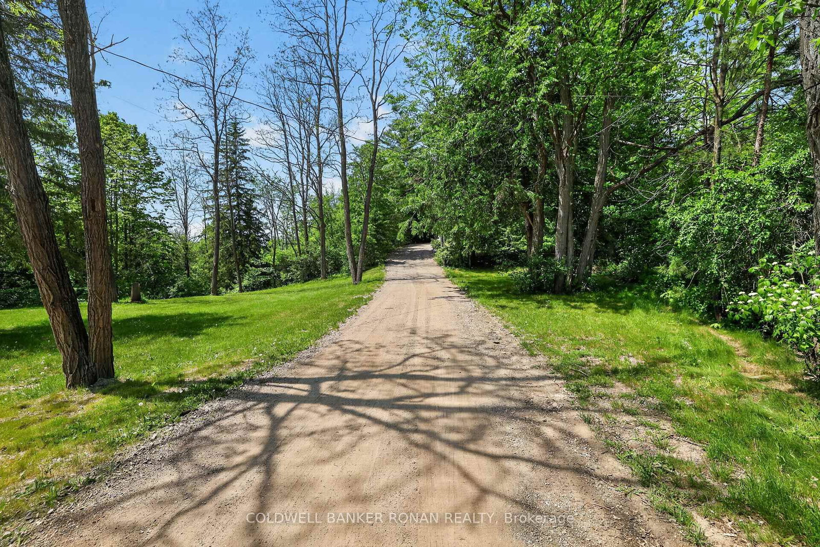 2946 Concession Rd 3 • Adjala-Tosorontio, ON photo 43