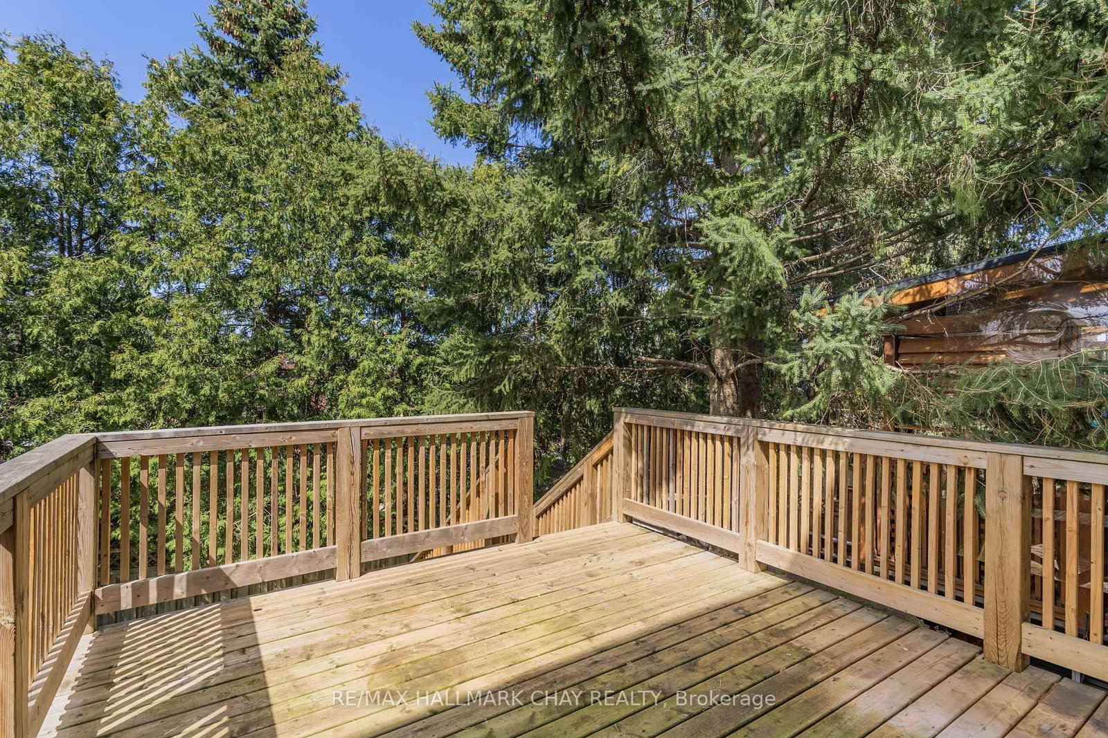 492 Britannia Avenue • Bradford West Gwillimbury, ON photo 22