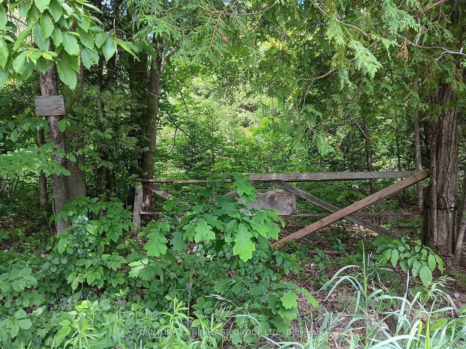 7 Line • Innisfil, ON photo 2