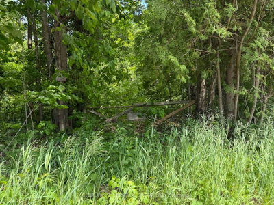7 Line • Innisfil, ON photo 3