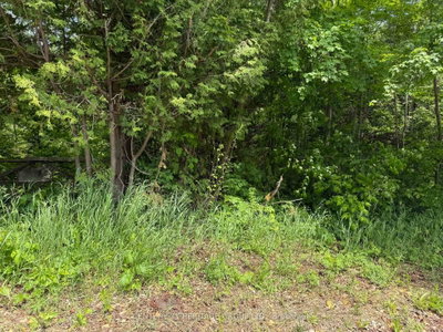 7 Line • Innisfil, ON photo 5