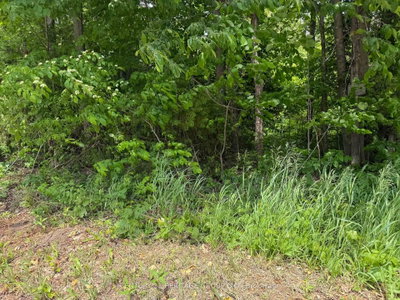 7 Line • Innisfil, ON photo 6