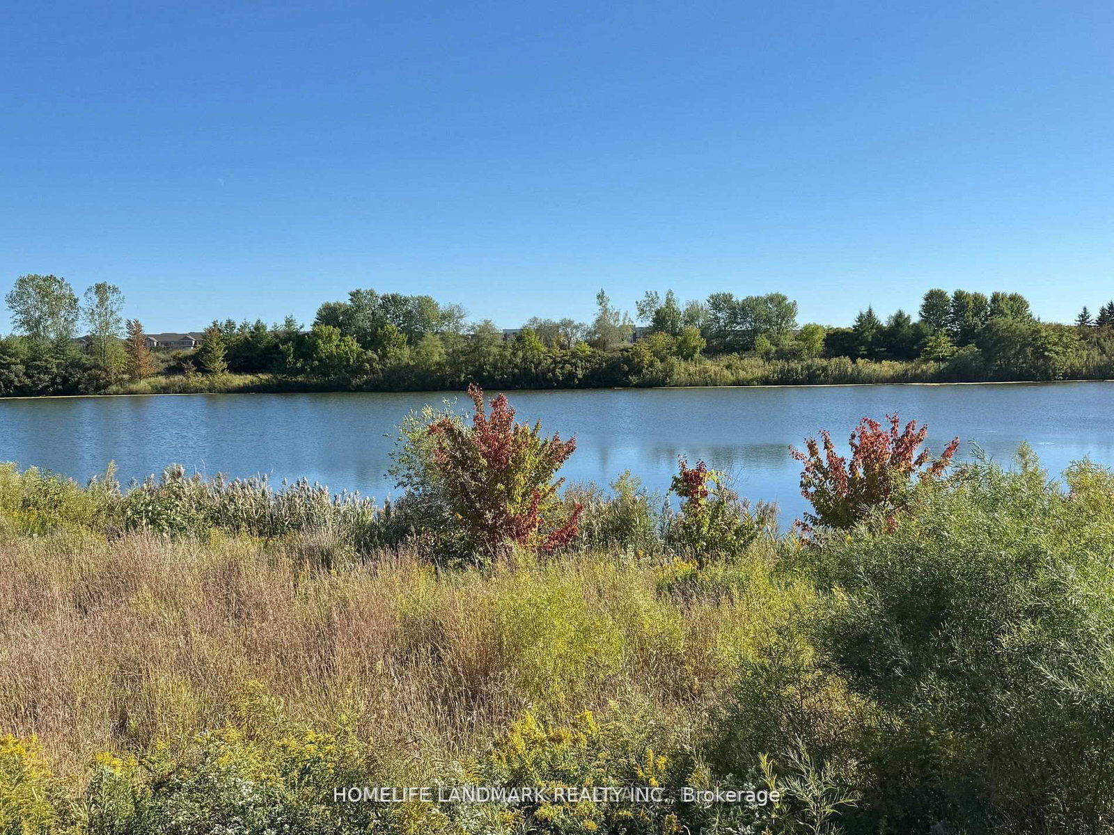 13 Woodway Lane • Markham, ON photo 50
