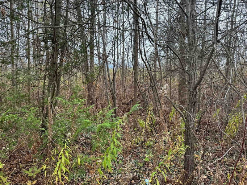 0 Taylorwoods Boulevard