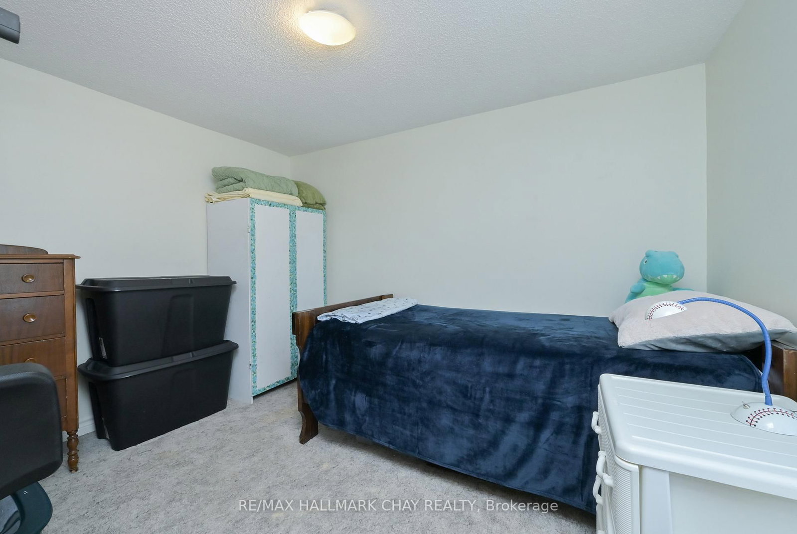 141 Murphy Road • Essa, ON photo 19