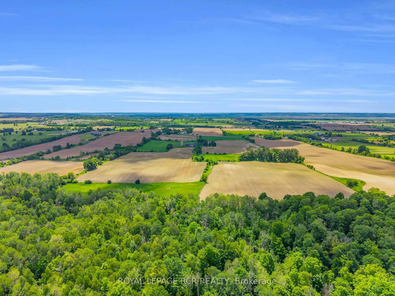 20893 Woodbine Avenue • East Gwillimbury, ON photo 12