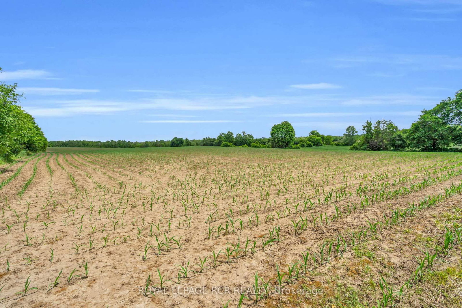 20893 Woodbine Avenue • East Gwillimbury, ON photo 21
