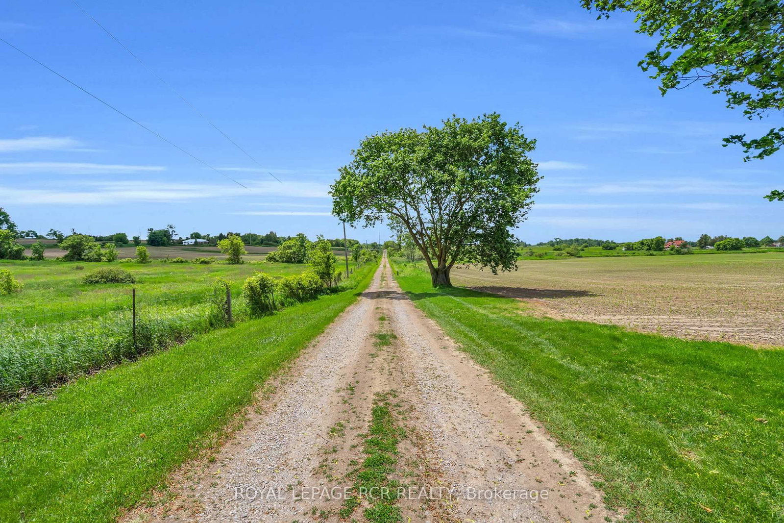 20893 Woodbine Avenue • East Gwillimbury, ON photo 23