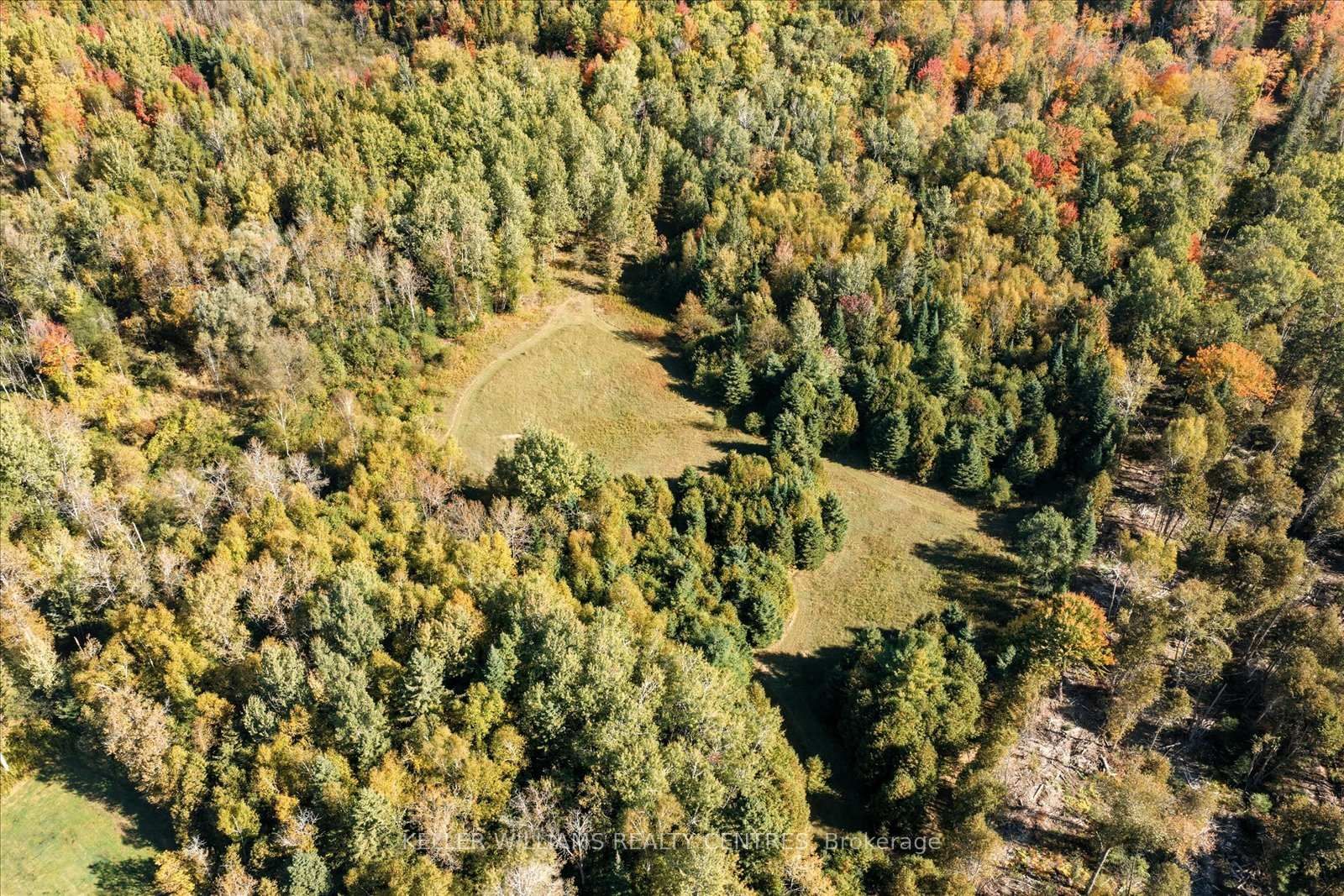 11601 Concession 3 Road • Uxbridge, ON photo 49
