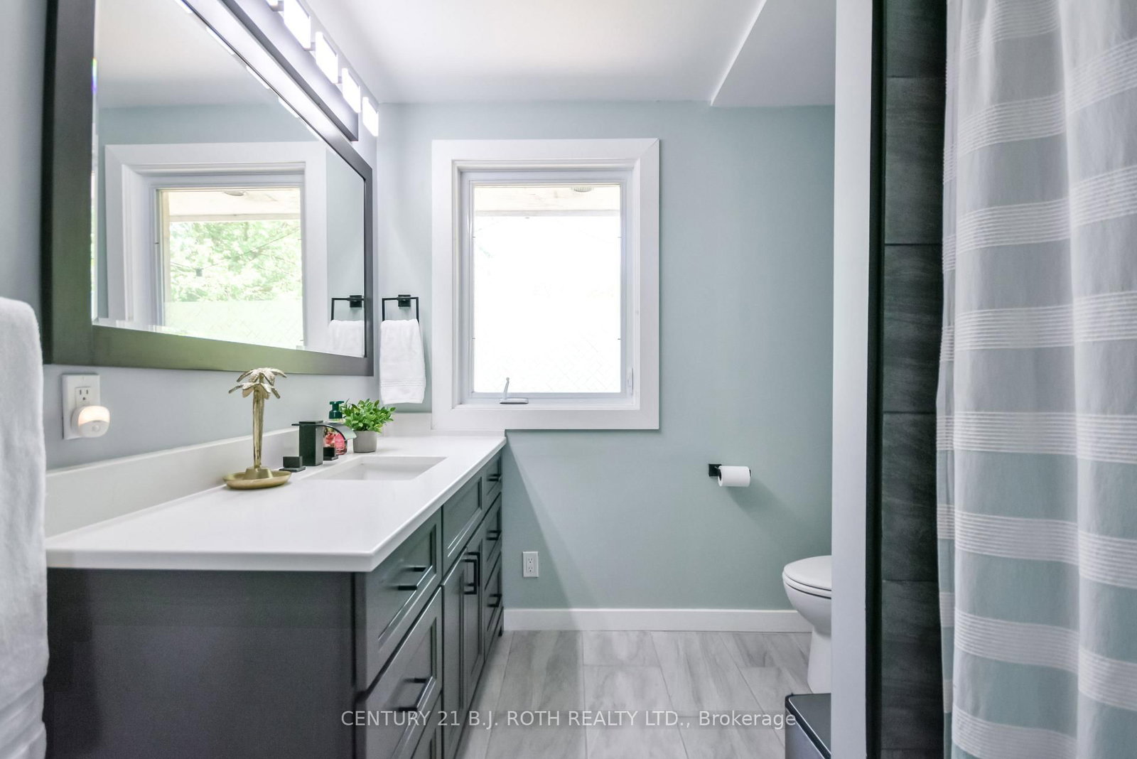 7906 Main Street • Adjala-Tosorontio, ON photo 18