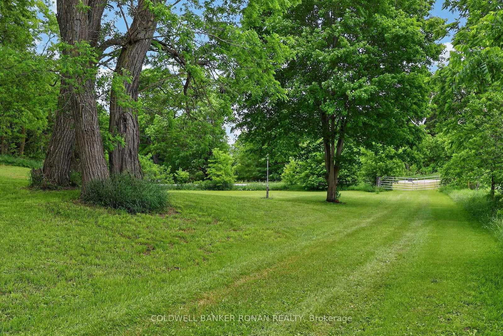 2362 Concession Rd 2 • Adjala-Tosorontio, ON photo 10