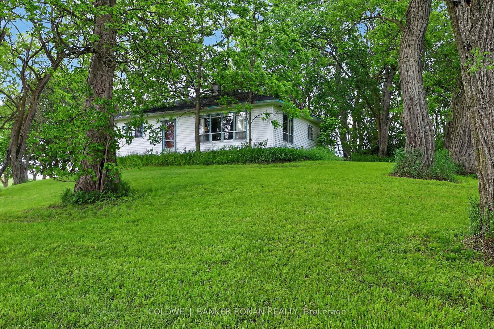 2362 Concession Rd 2 • Adjala-Tosorontio, ON photo 11