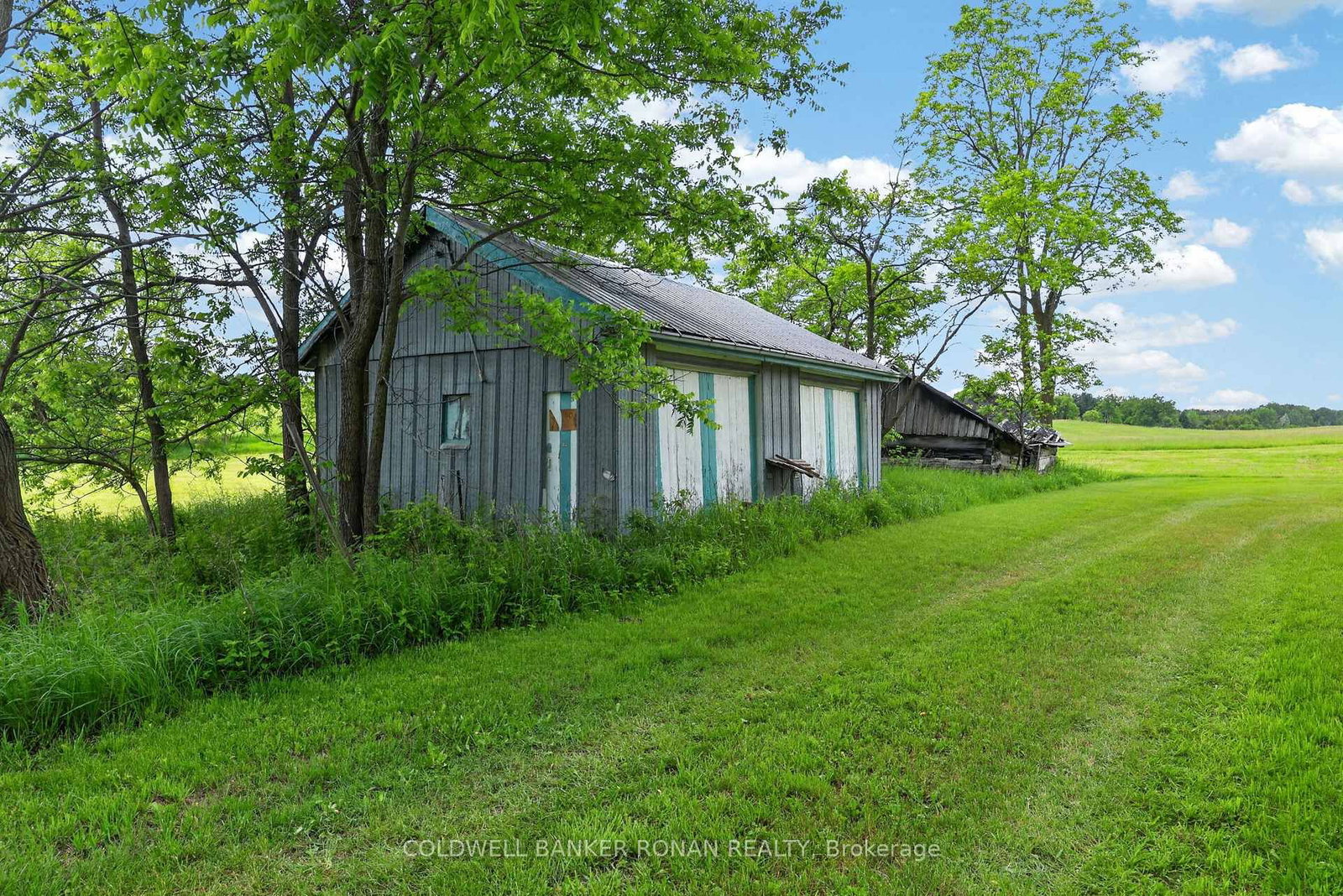 2362 Concession Rd 2 • Adjala-Tosorontio, ON photo 12