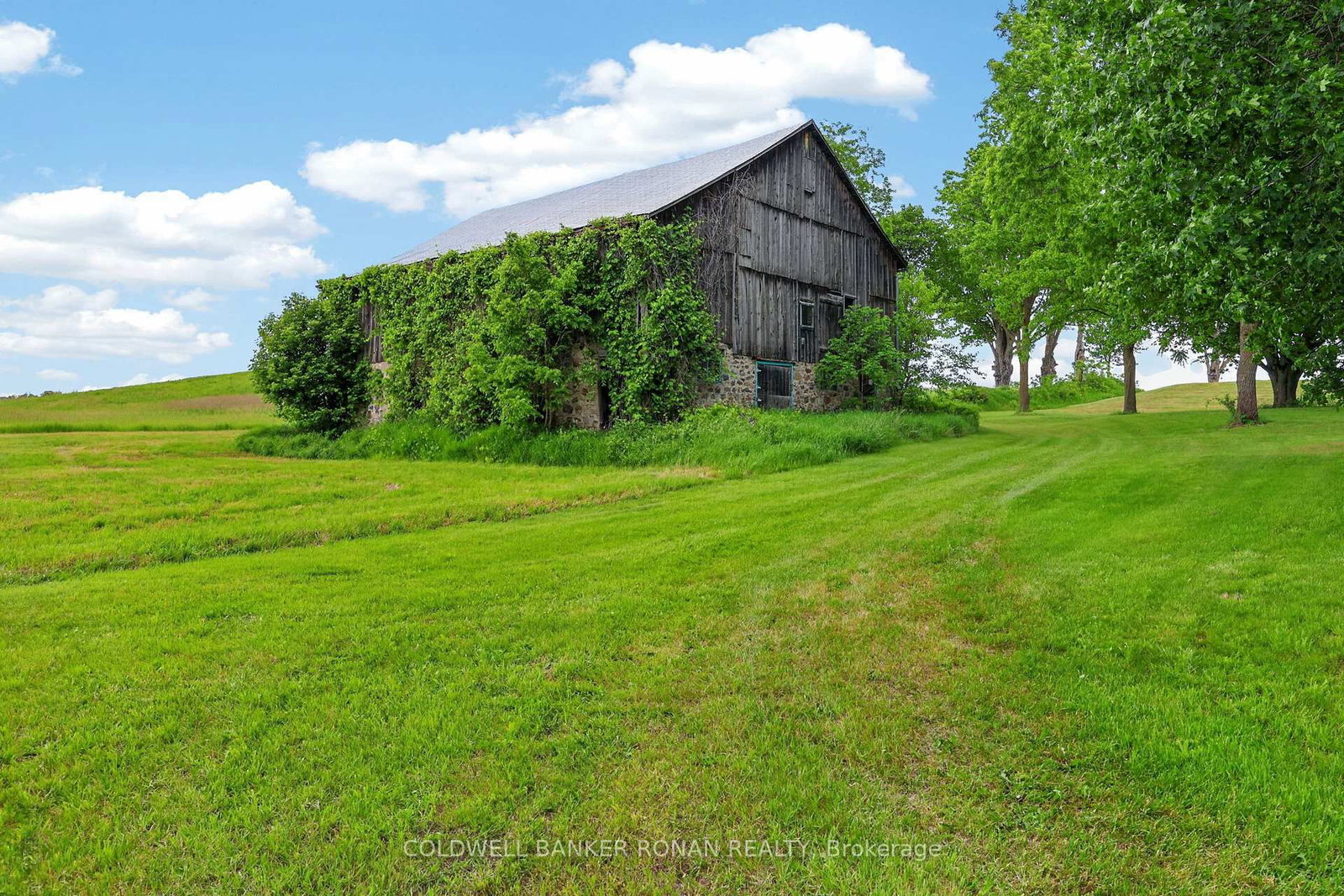 2362 Concession Rd 2 • Adjala-Tosorontio, ON photo 13