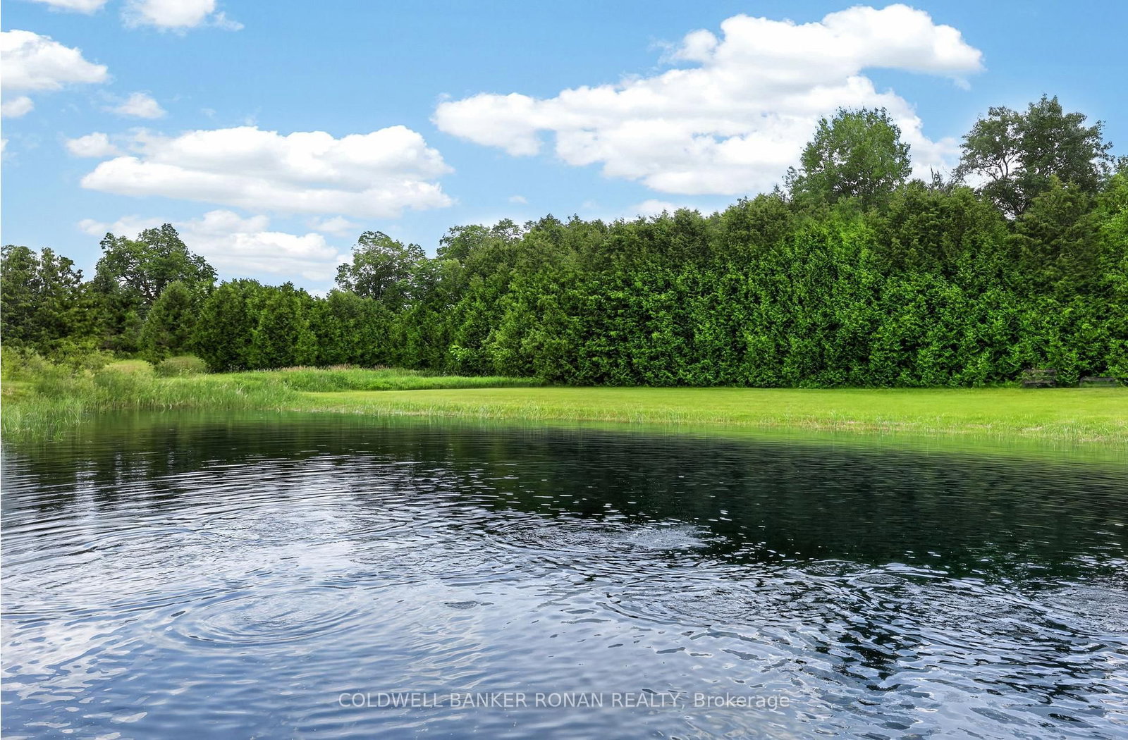 2362 Concession Rd 2 • Adjala-Tosorontio, ON photo 14