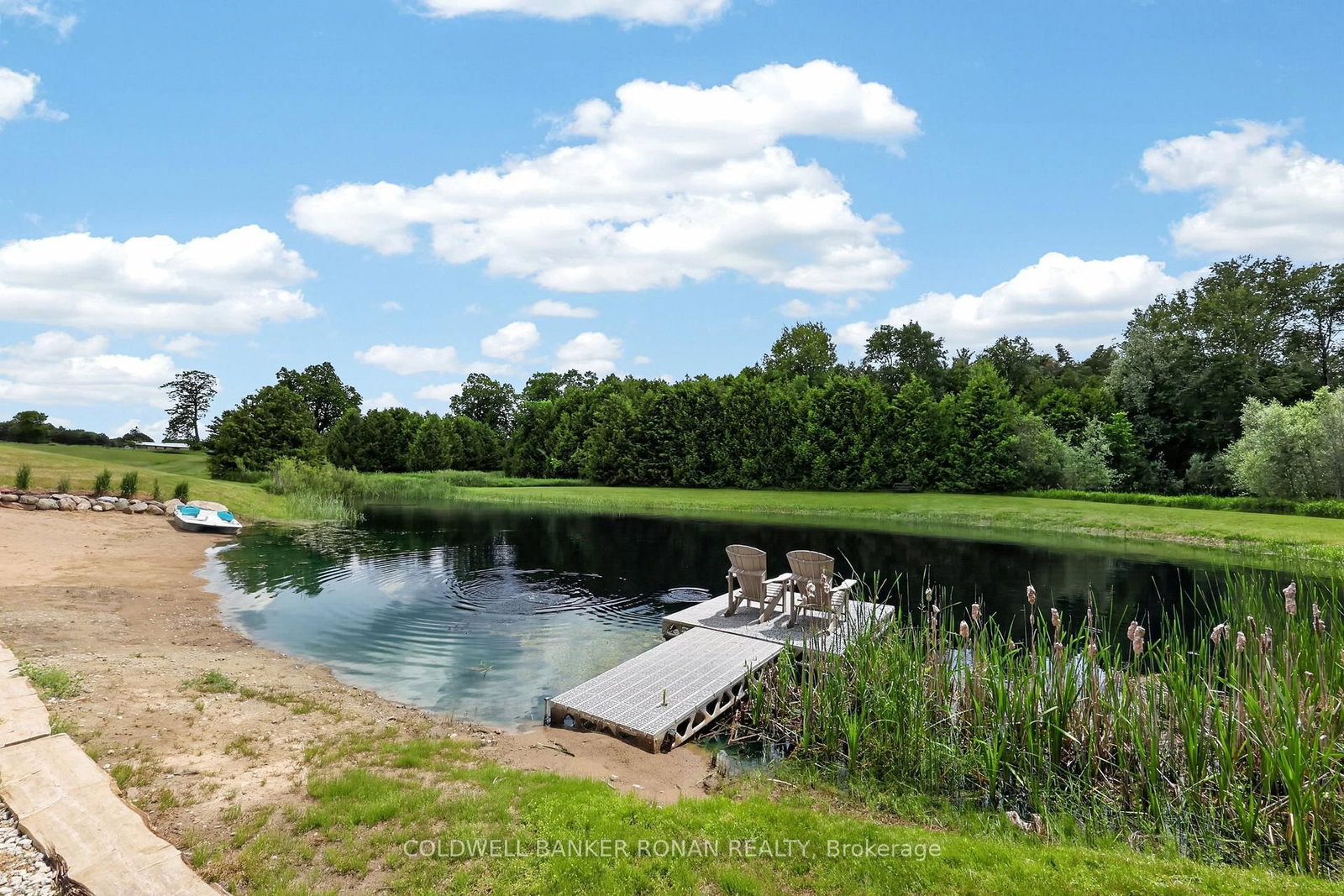 2362 Concession Rd 2 • Adjala-Tosorontio, ON photo 23