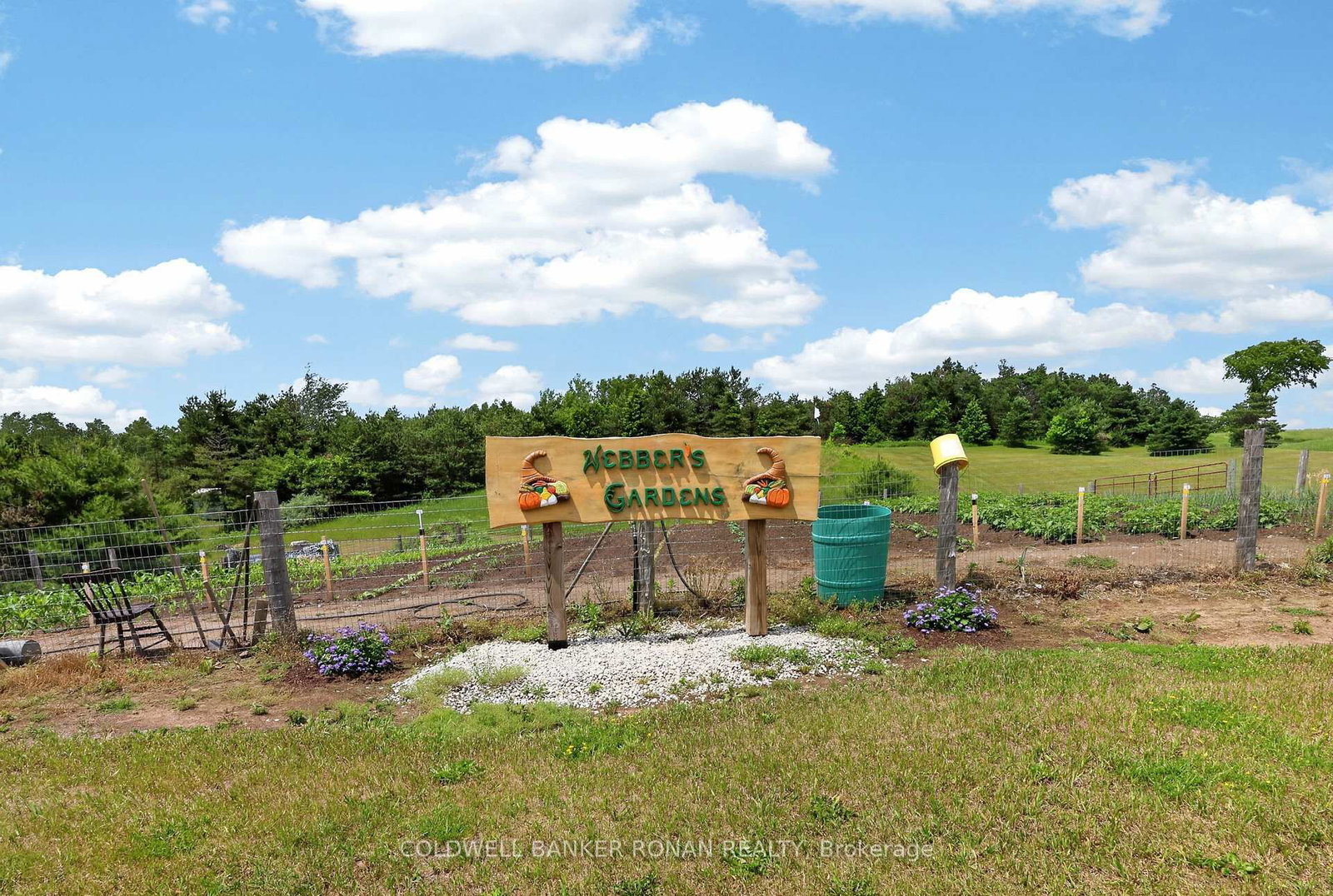 2362 Concession Rd 2 • Adjala-Tosorontio, ON photo 29