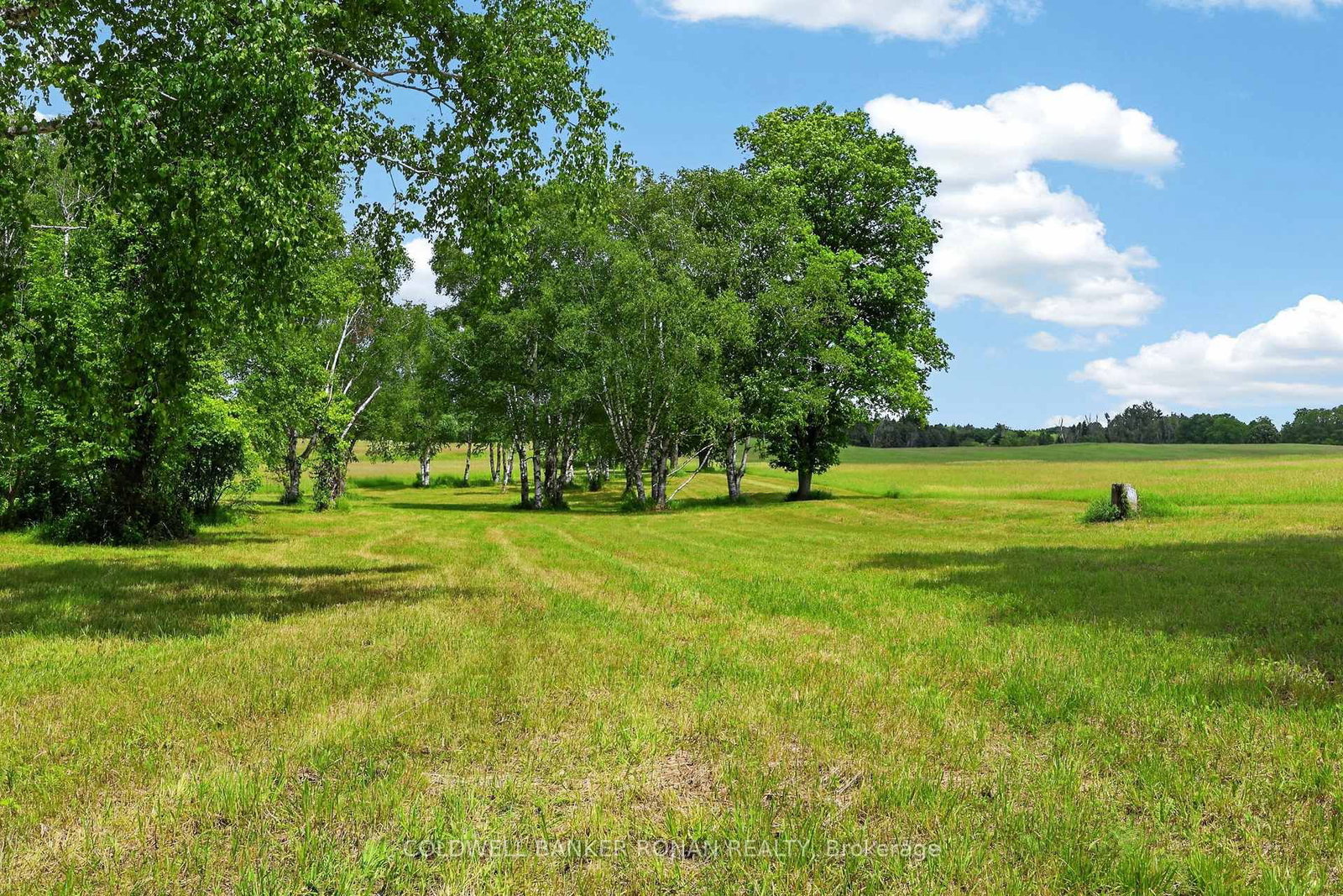 2362 Concession Rd 2 • Adjala-Tosorontio, ON photo 30