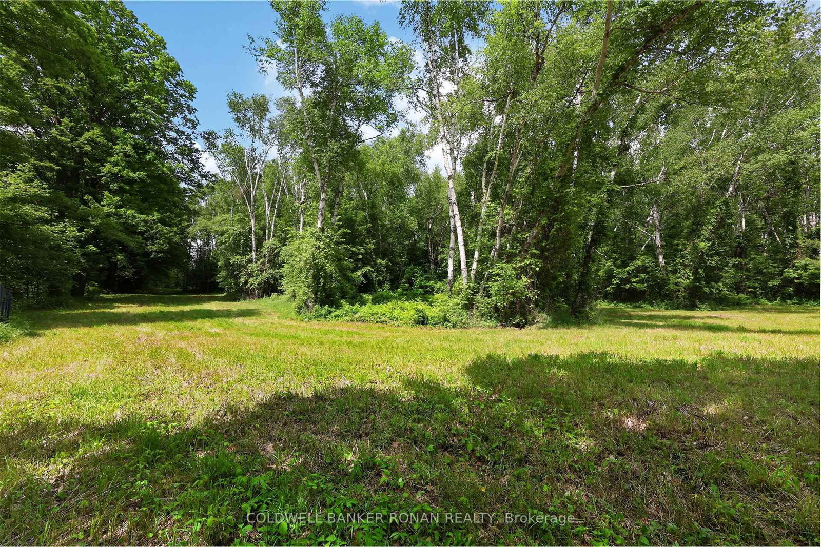2362 Concession Rd 2 • Adjala-Tosorontio, ON photo 31
