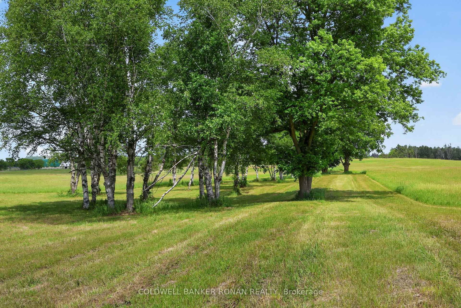 2362 Concession Rd 2 • Adjala-Tosorontio, ON photo 33