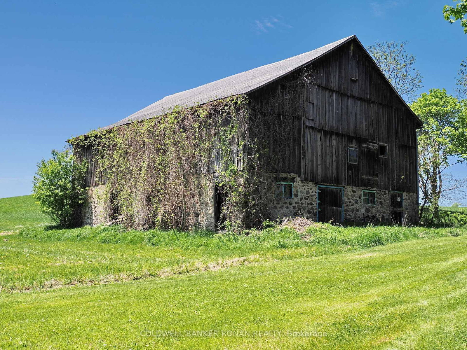 2362 Concession Rd 2 • Adjala-Tosorontio, ON photo 38