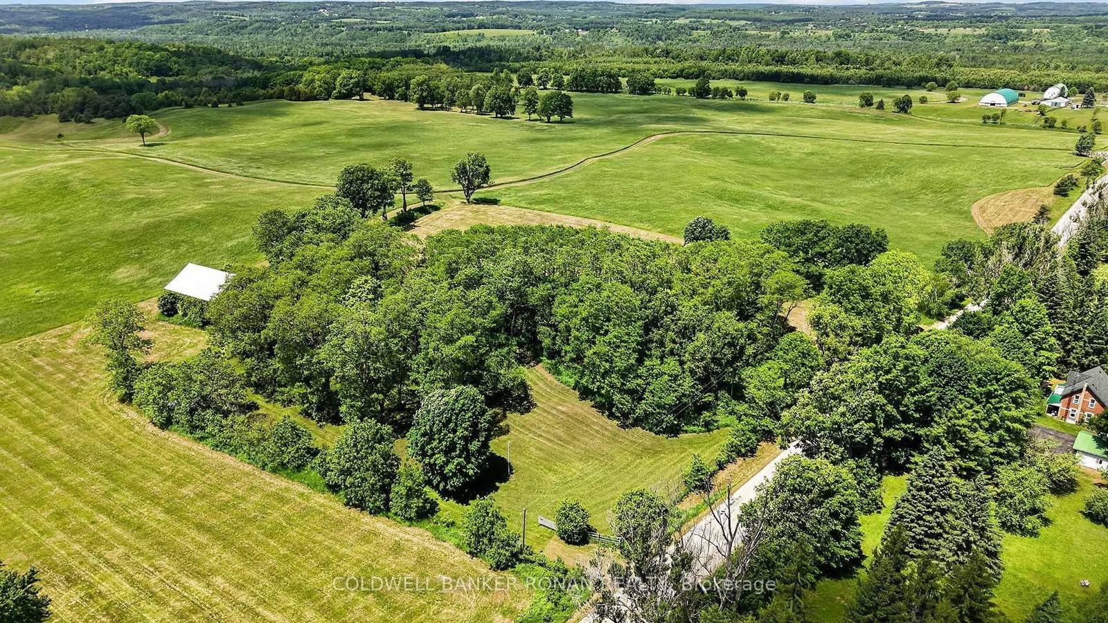 2362 Concession Rd 2 • Adjala-Tosorontio, ON photo 45
