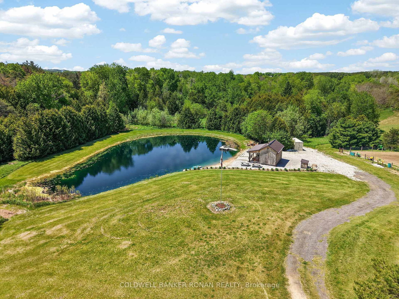 2362 Concession Rd 2 • Adjala-Tosorontio, ON photo 6